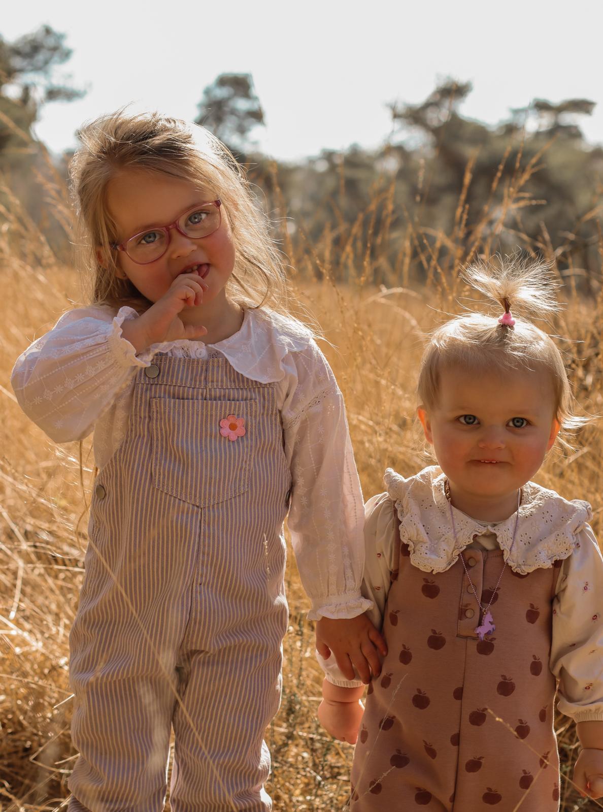 Familie fotografie Haaksbergen - twee kleine meisjes in gouden grasveld door Kim Scharenborg Fotografie