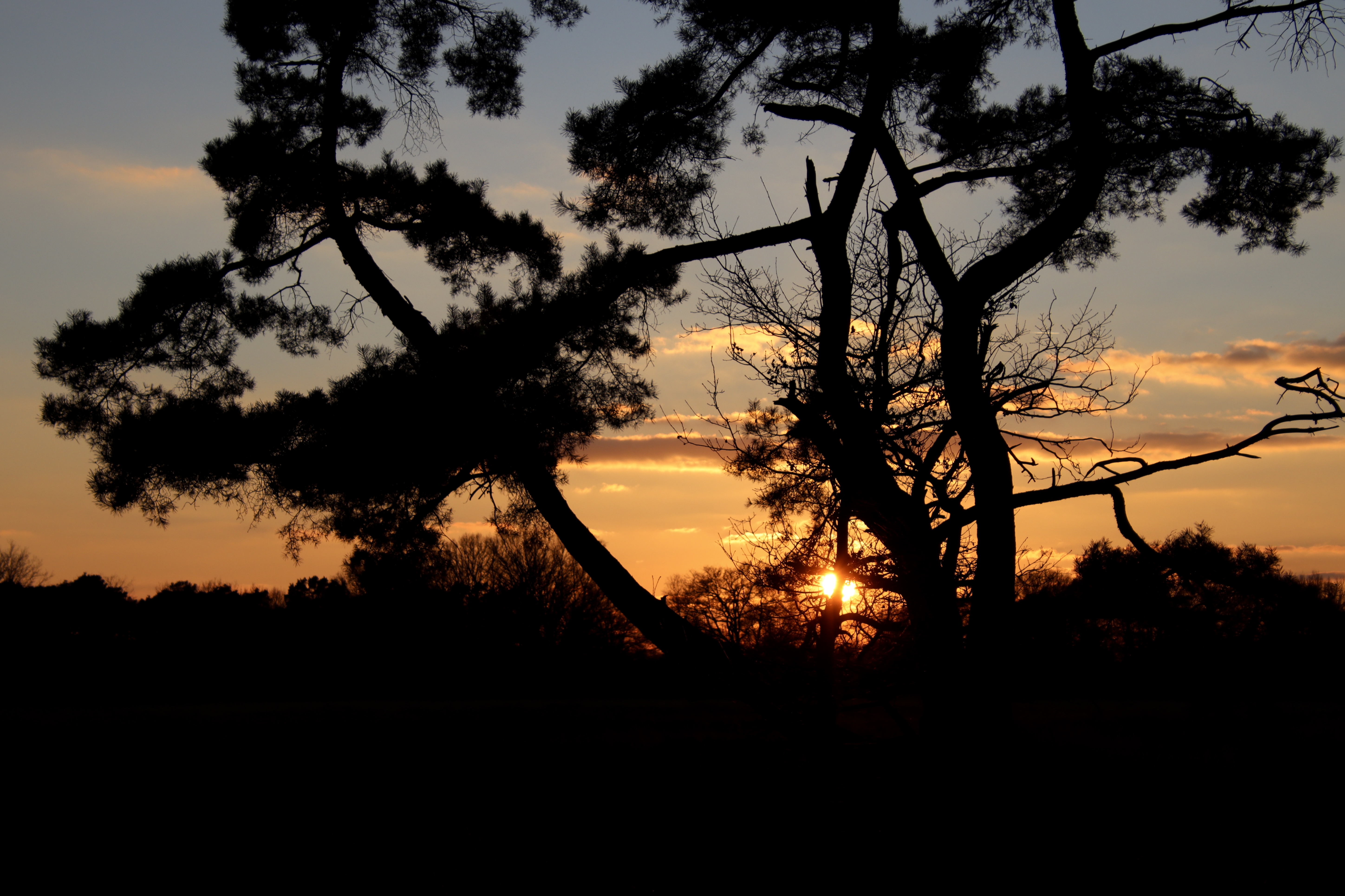 Gouden uurtje zonsondergang in Haaksbergen