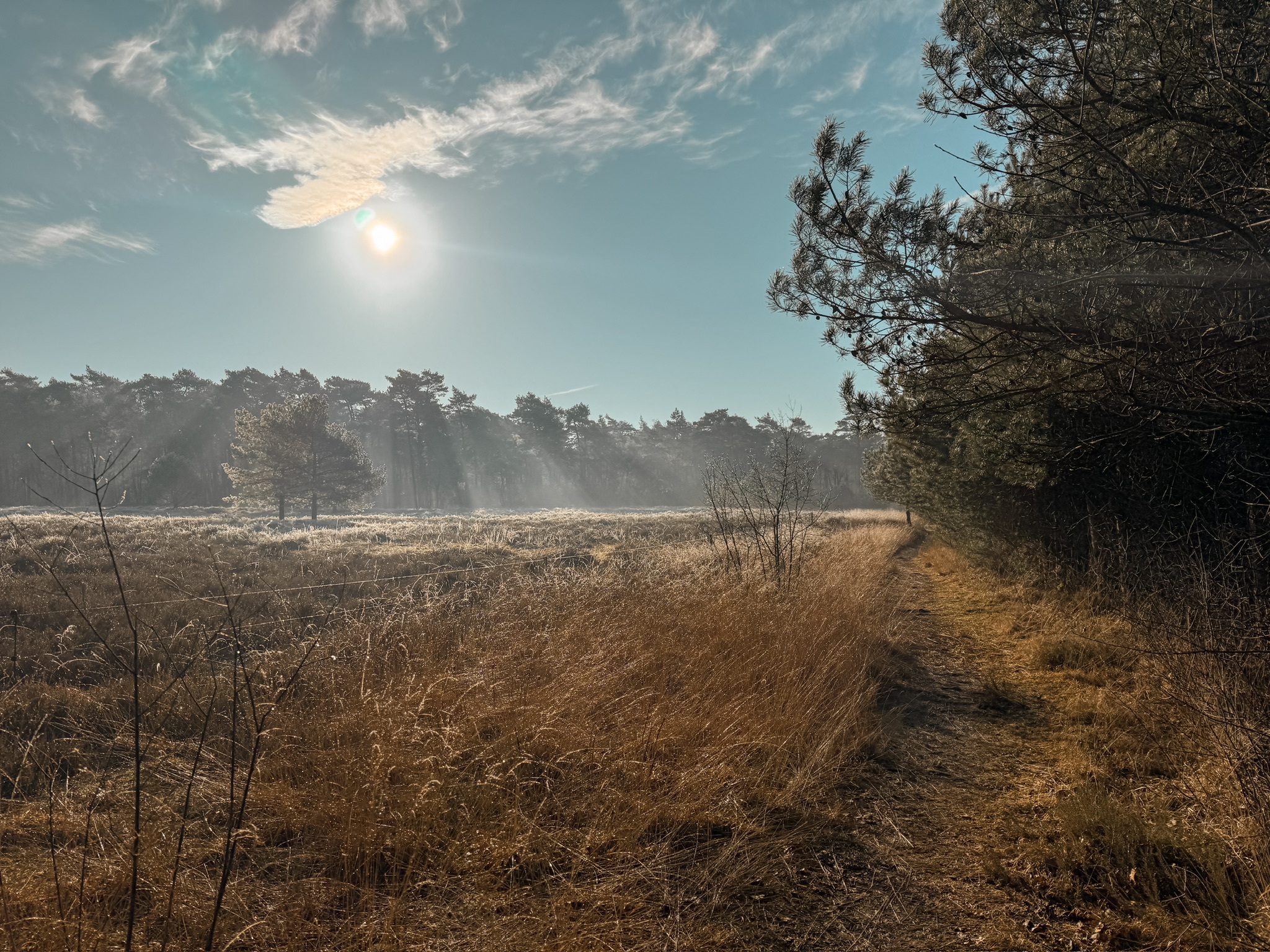 Prachtige buitenlocatie voor fotografie in Twente door Kim Scharenborg Fotografie